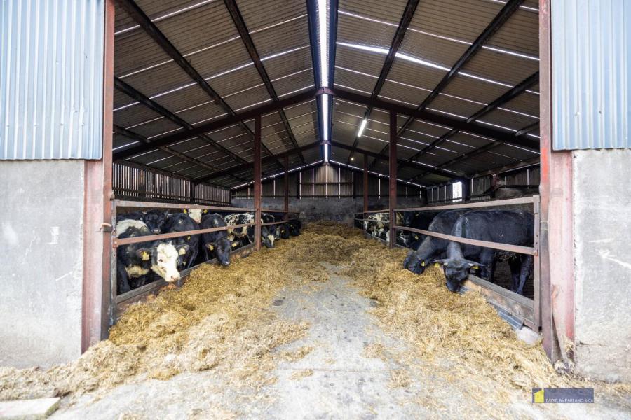 16 Creevekeeran Road