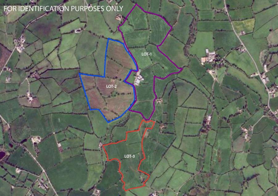 16 Creevekeeran Road