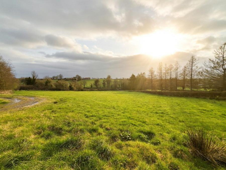 16 Dorneybridge Road