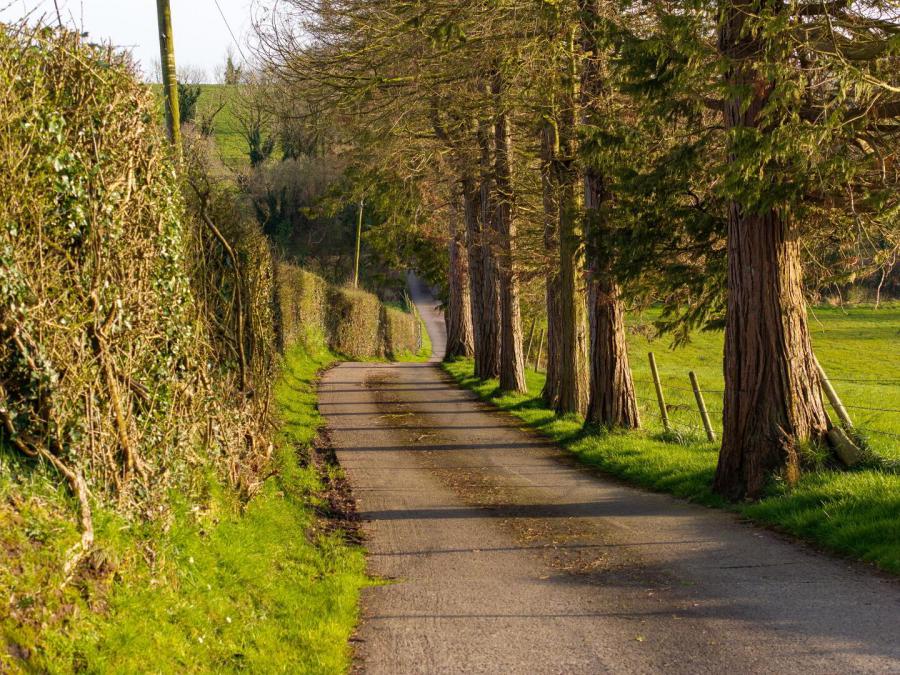 16 Dorneybridge Road