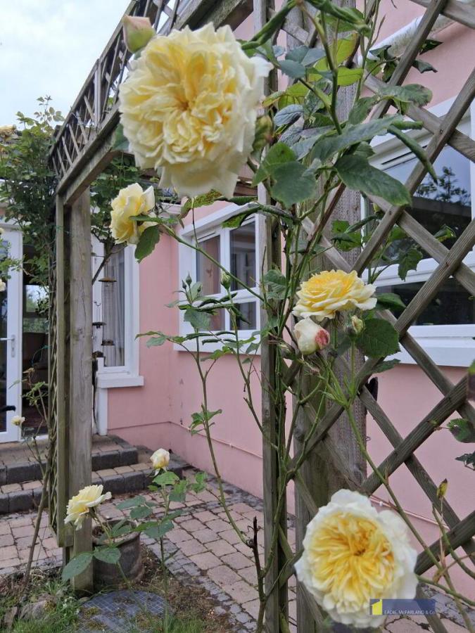 145 Lettermoney Road