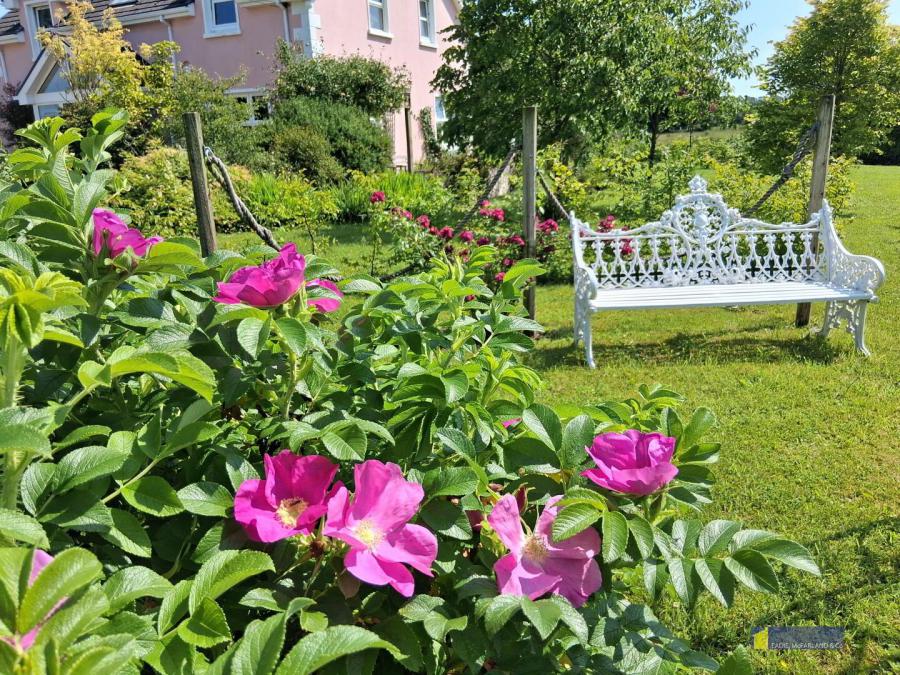 145 Lettermoney Road