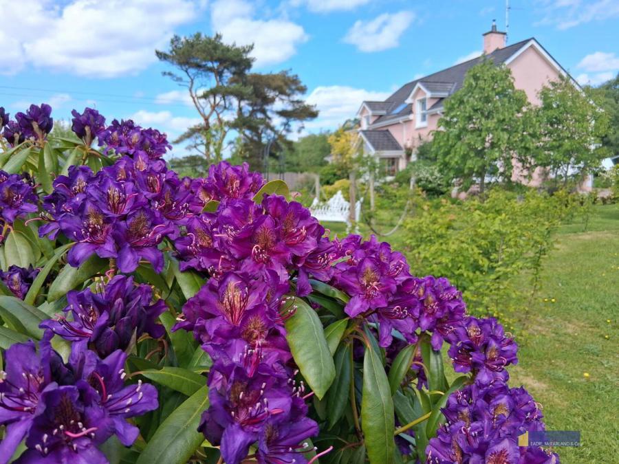 145 Lettermoney Road