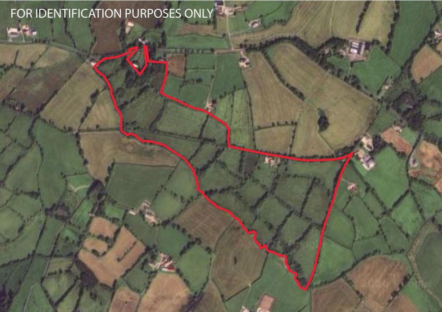 42 Rabbitburrow Road