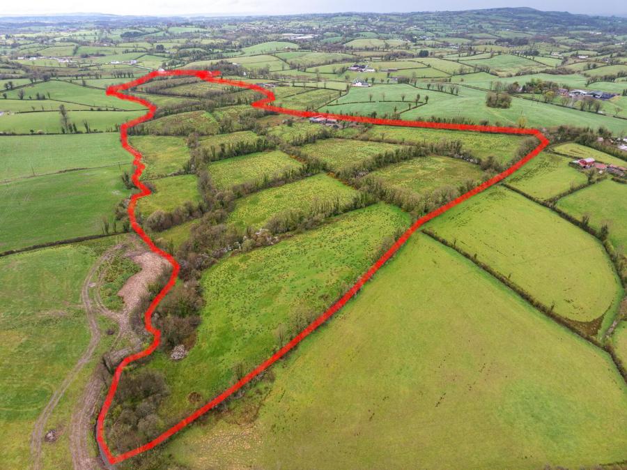 42 Rabbitburrow Road