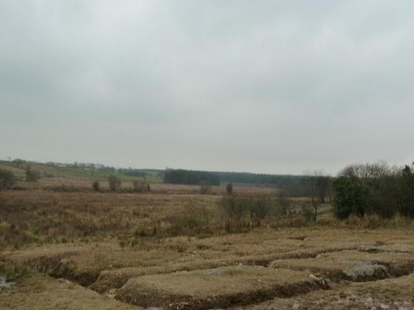 Tattysallagh Road