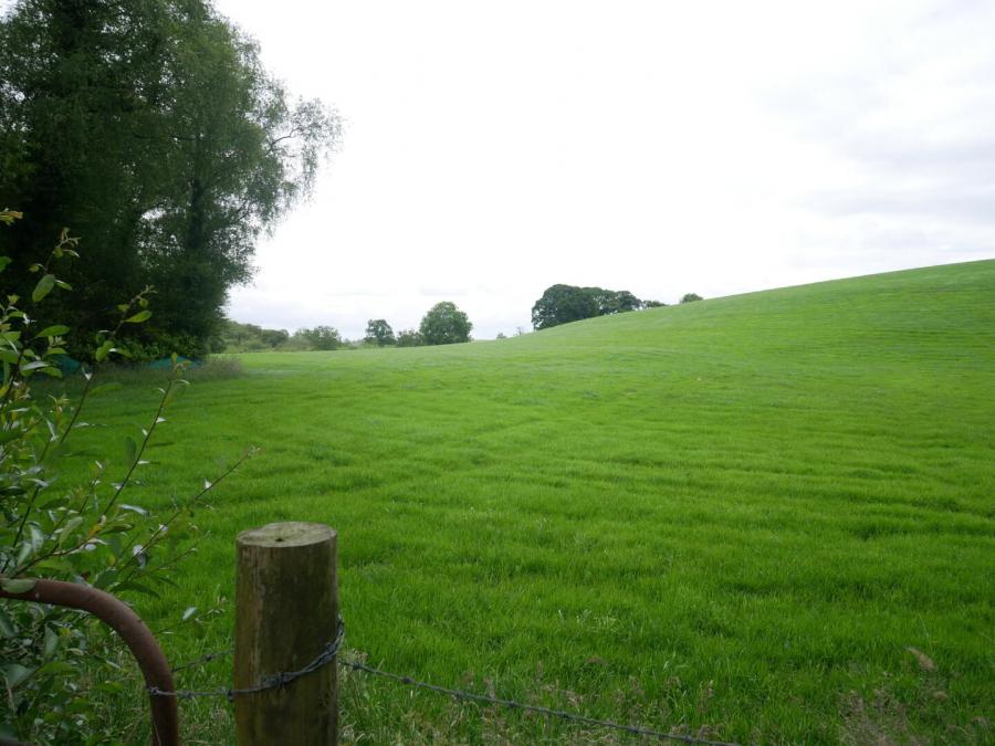 Derrybrusk Road, Off Gola Road