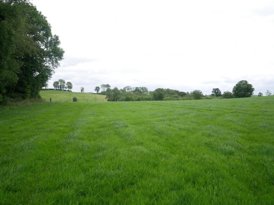 Derrybrusk Road, Off Gola Road