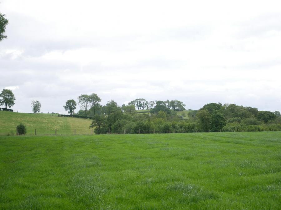 Derrybrusk Road, Off Gola Road