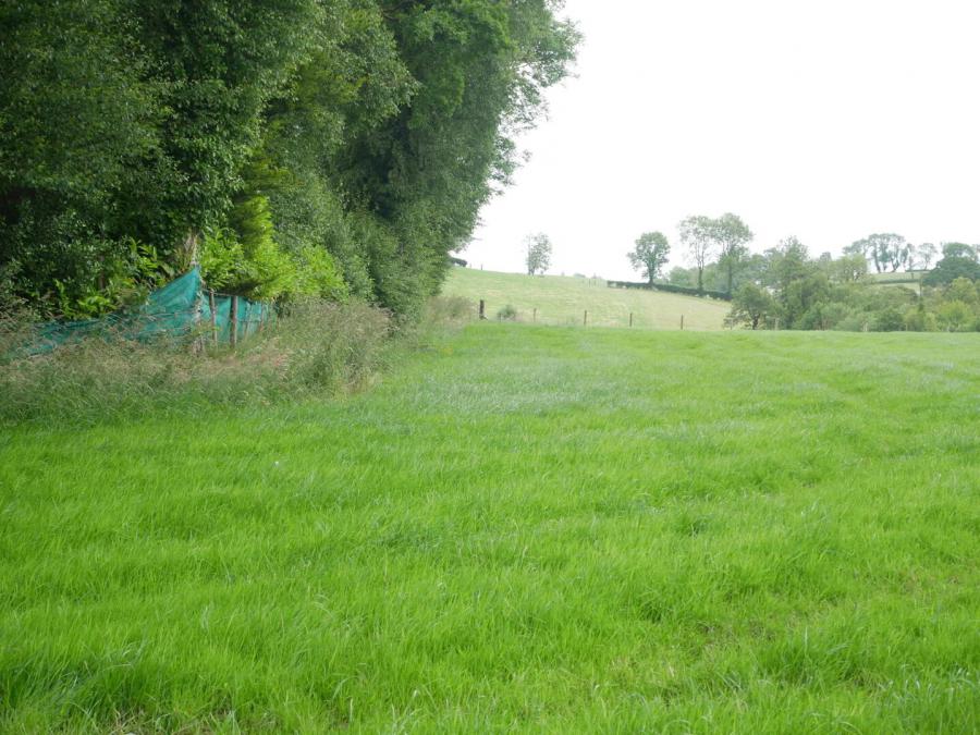 Derrybrusk Road, Off Gola Road