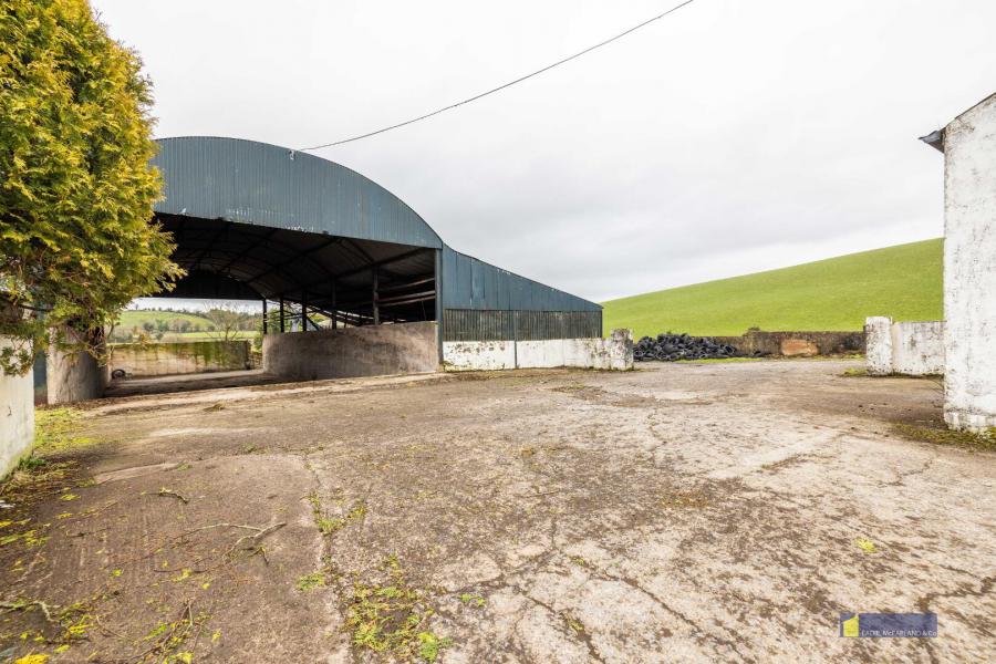 119 Loughshore Road