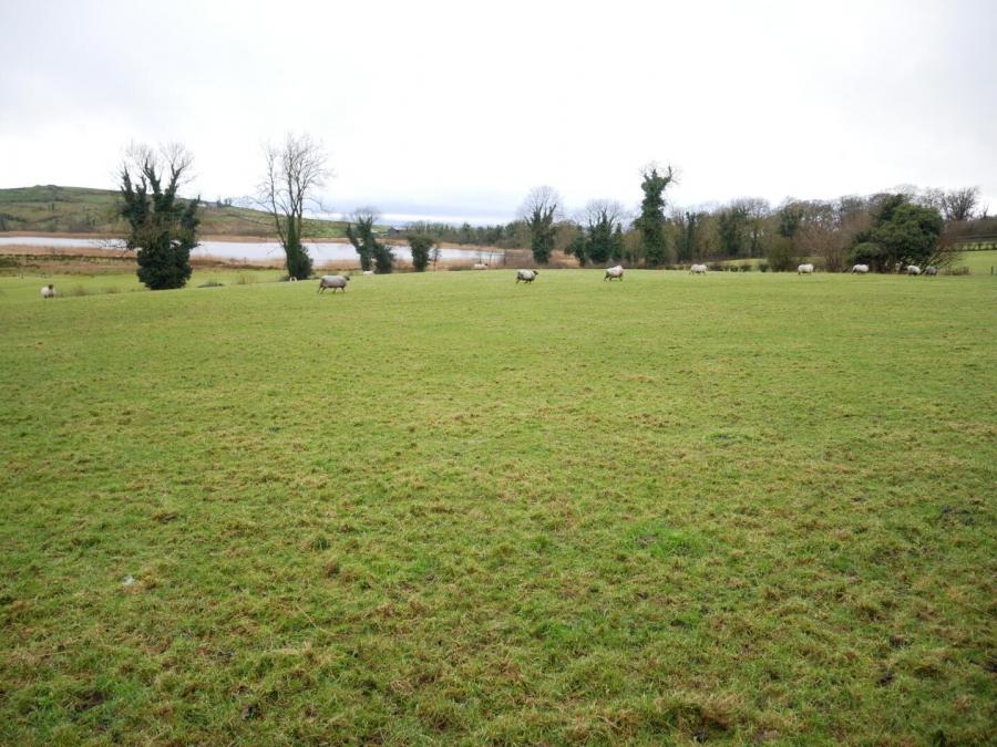 Site, 17 Carn Road