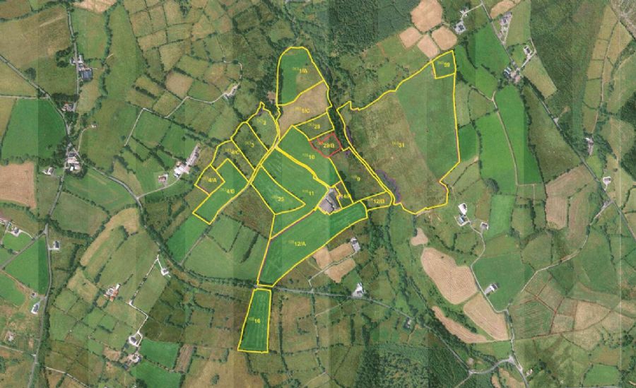 O.P.P Farm House & C. 55 Acres