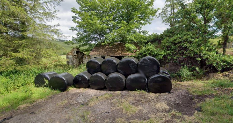 O.P.P Farm House & C. 55 Acres