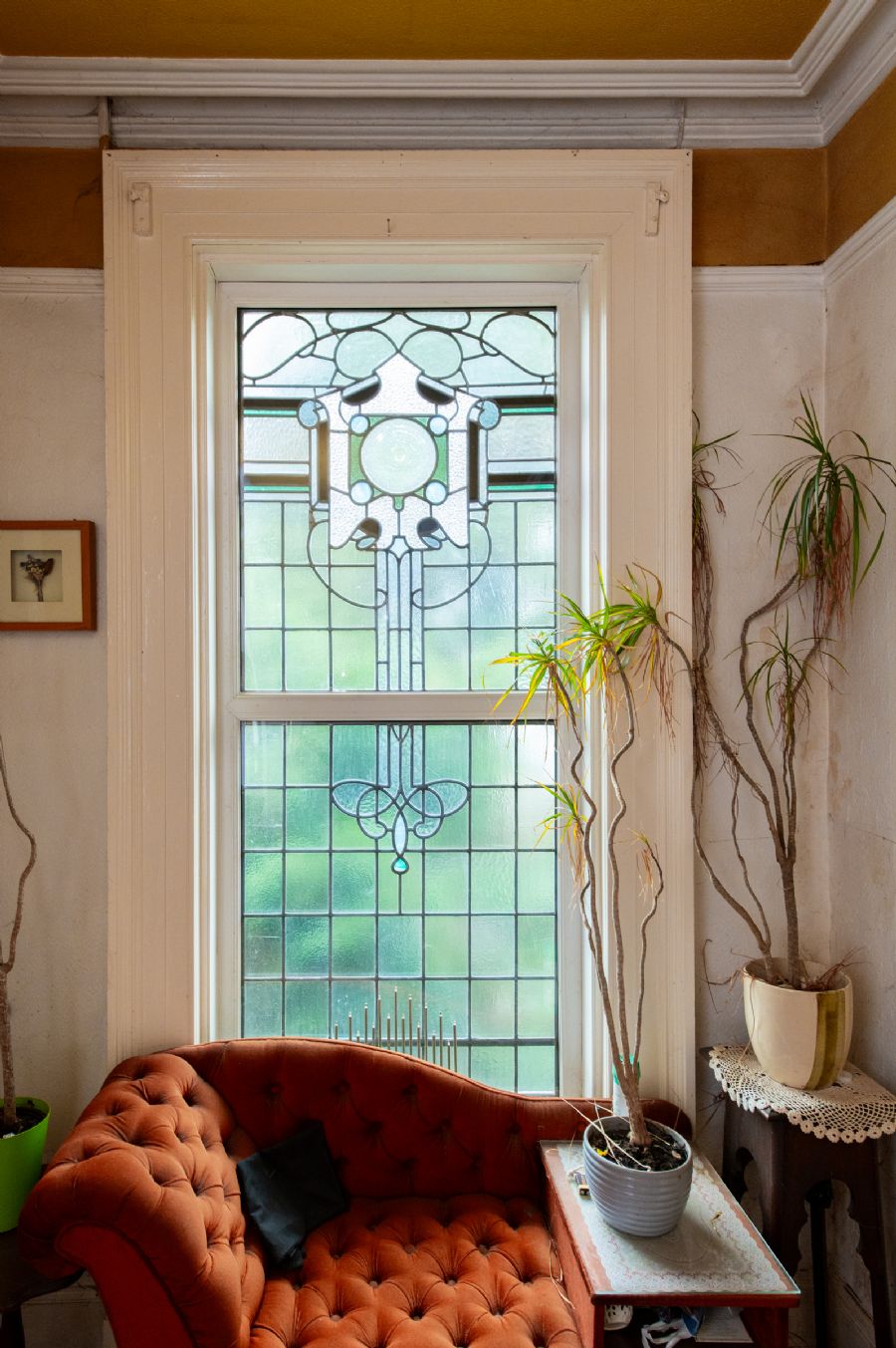 Lynnwood, Chichester Park Central