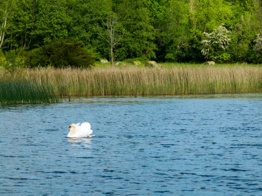 Leam Beg