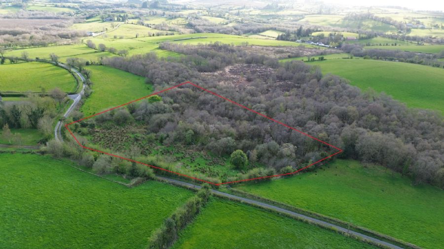 C. 4.5 Acre Site @ 10 Burrow Road
