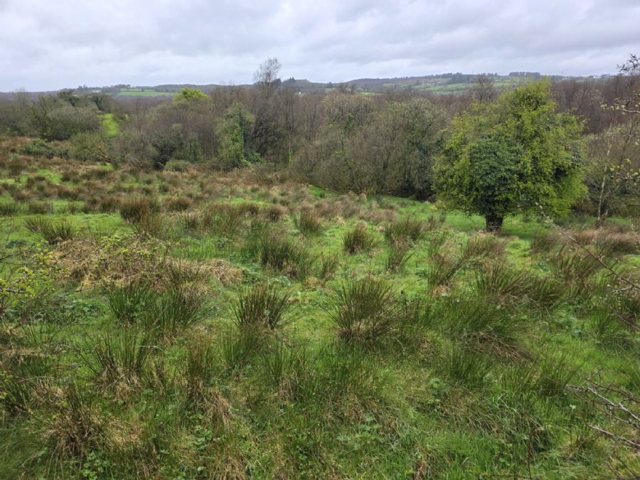 C. 4.5 Acre Site @ 10 Burrow Road