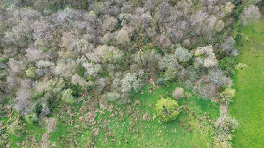 C. 4.5 Acre Site @ 10 Burrow Road