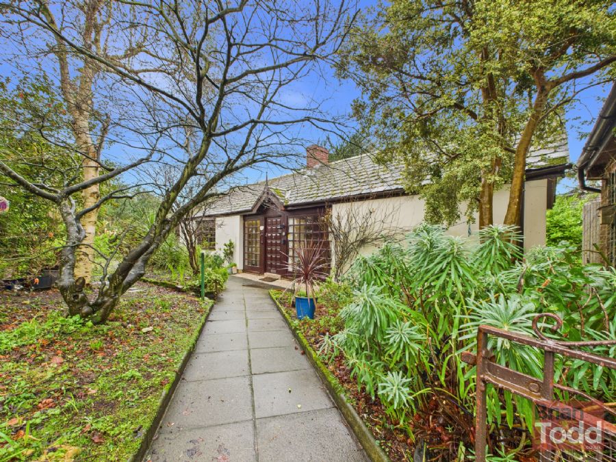 15 Branch Road