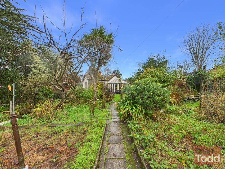 15 Branch Road