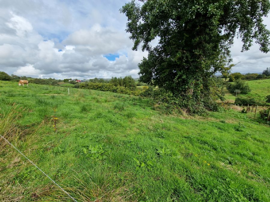 Opp For 8 Dwellings, 28 Edenmore Lane