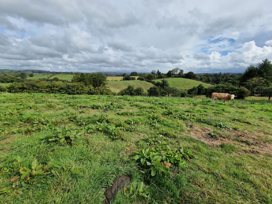 Opp For 8 Dwellings, 28 Edenmore Lane