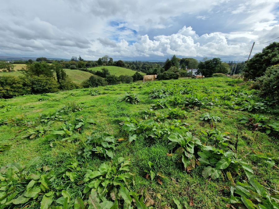 Opp For 8 Dwellings, 28 Edenmore Lane