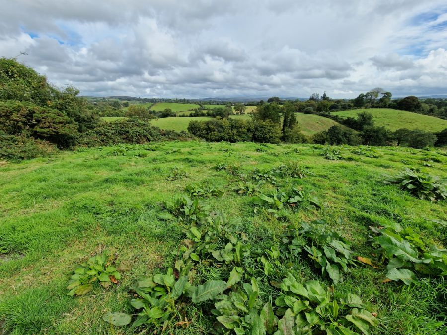 Opp For 8 Dwellings, 28 Edenmore Lane