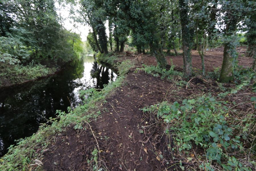 C. 1.6 Ac Site With Fpp On Cooneen Road