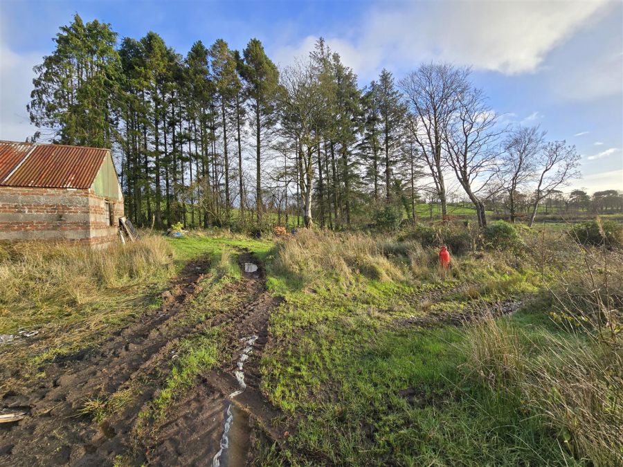 28 Ballycreggy Road