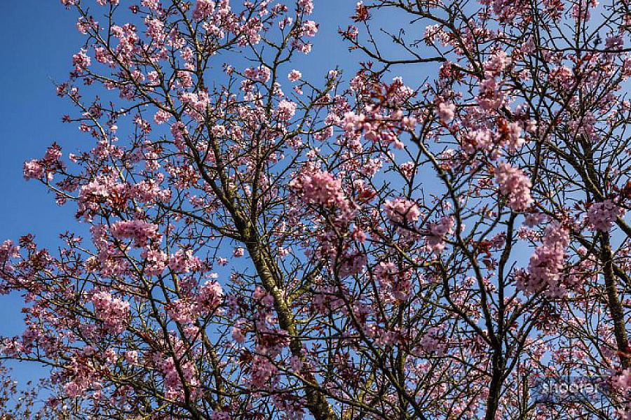 59 Mullafernaghan Road