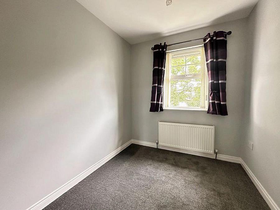 74 Limewood