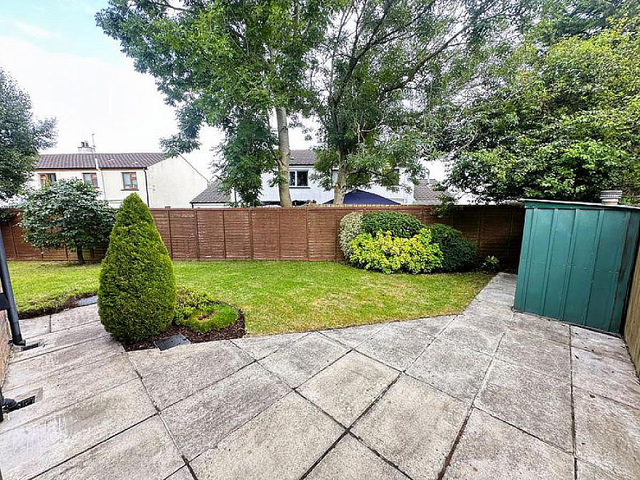 74 Limewood