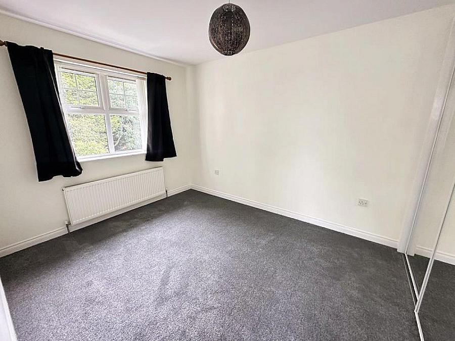 74 Limewood