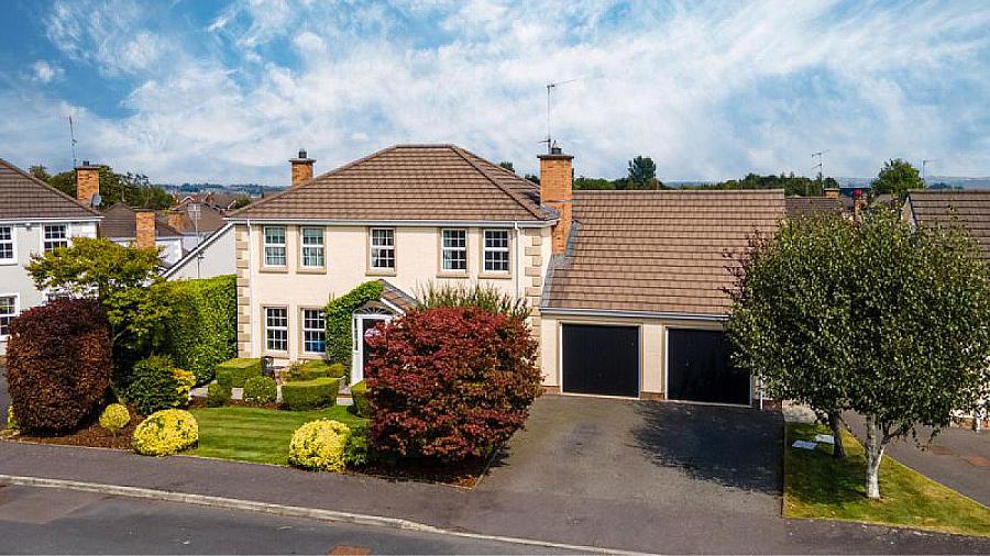 30 Springfields