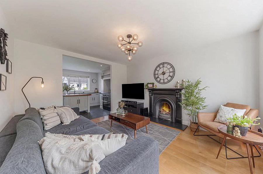 30 Springfields