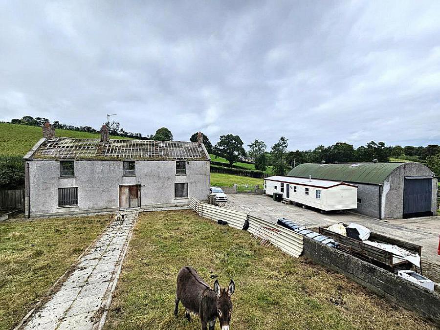 50 Acton Village