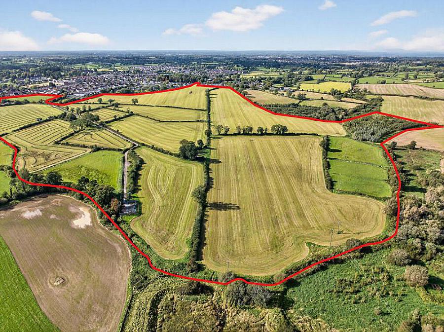 Farm At Mill Hill