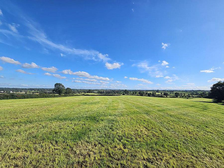 Farm At Mill Hill