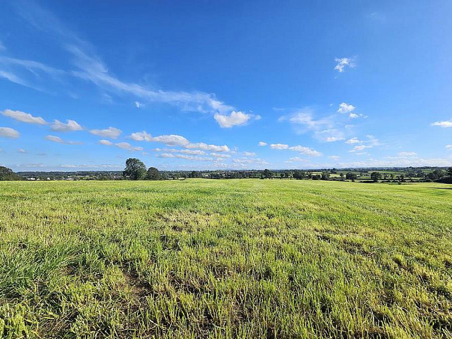 Farm At Mill Hill