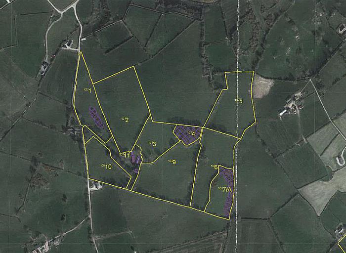 Lisraw House And Lands Lisraw Road