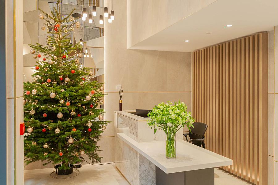 Apt 6 Fx Montgomery Street