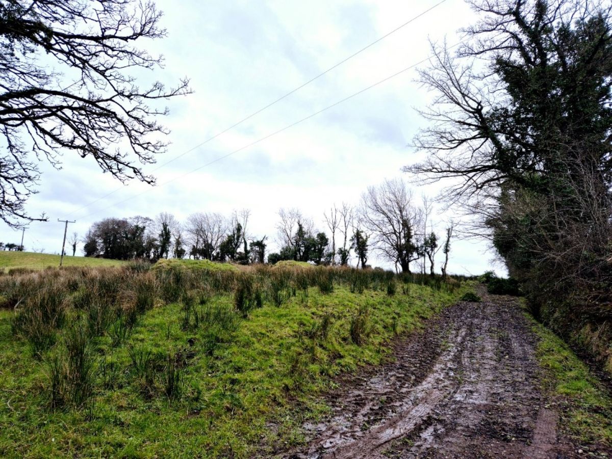 Ne Of 43 Rakeeran Road, Dromore Ne Of 43 Rakeeran Road, Dromore