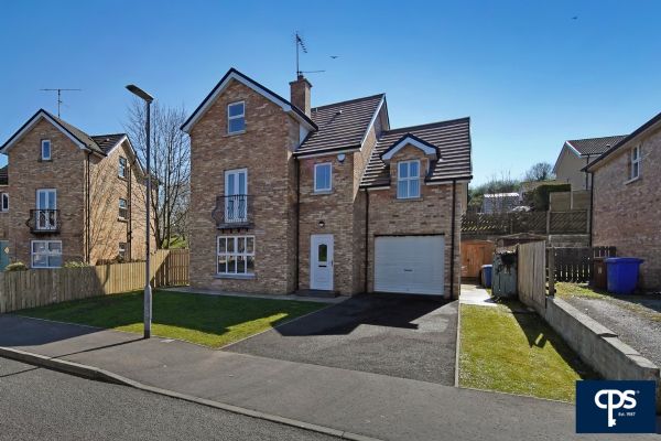 9 Meadowcroft, Dromore