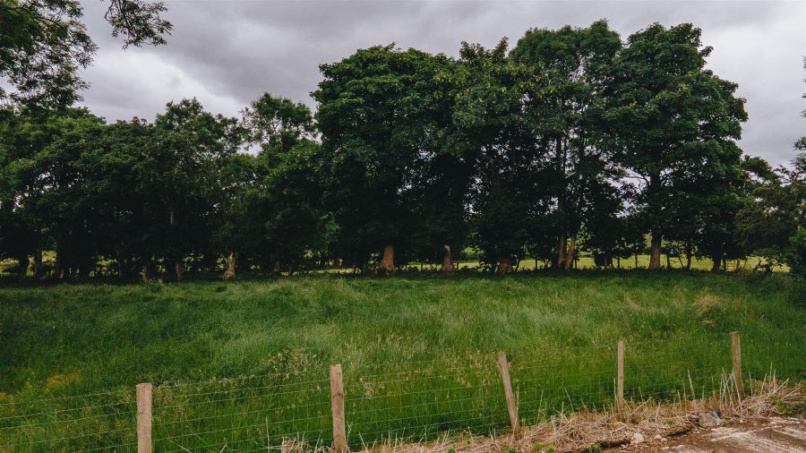 Site Beside, 112 Whitesides Road