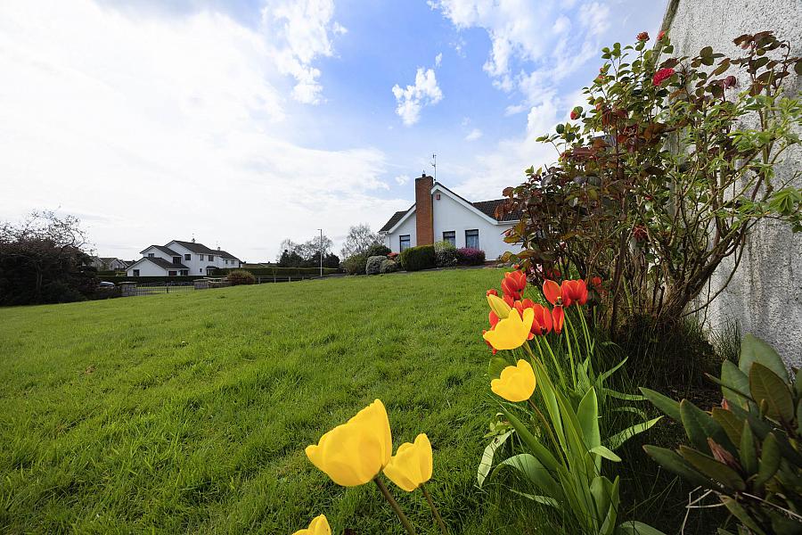 57 North Circular Road