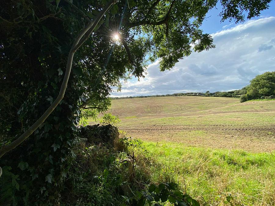 Building Site Full Planning Permission Metres South West Of    Crawfordstown Road