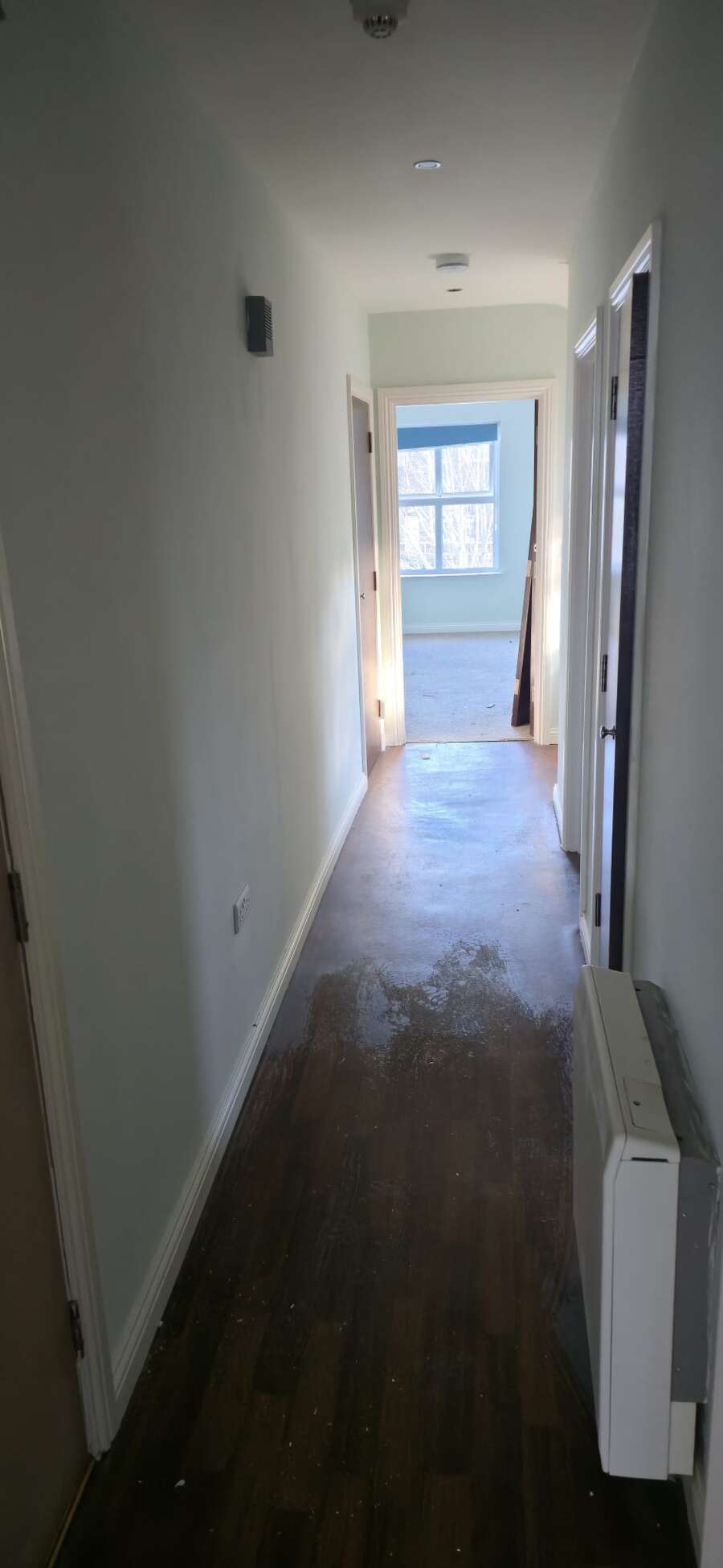 Apt 5 23/25 Brook Street