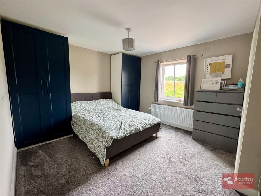 15 Springfields